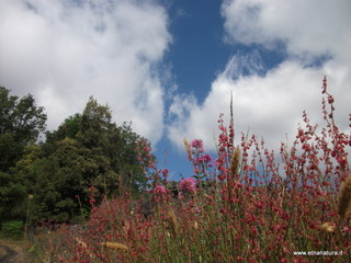 anobello-26-05-2013 09-30-48